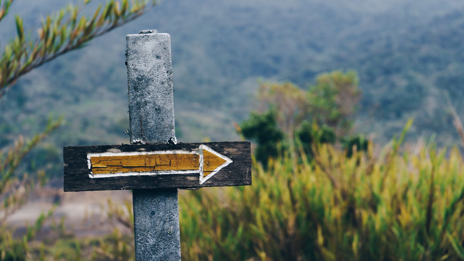 Navigation - link to philosophy/decision